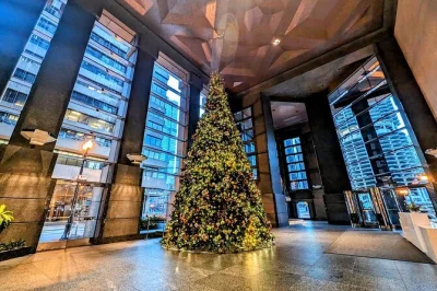 Join a festive chicago holiday tour with a local guide, see iconic christmas trees, taste seasonal treats, and explore downtown’s best decorations. book now.