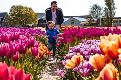 Scopri i tulipani d’olanda da vicino con un’escursione da amsterdam. visita i giardini di keukenhof, esplora il tulip experience e raccogli il tuo mazzo. pick-up in hotel incluso.