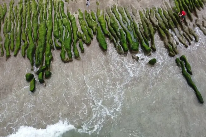 Laomei Green Reef Day Tour: Volcanic Reef & Coastal Stops
