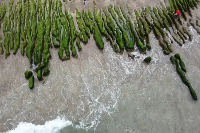 Laomei Green Reef Day Tour: Volcanic Reef & Coastal Stops