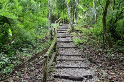 Walk through panama city’s metropolitan park and climb ancon hill with a local guide. includes hotel pickup, snacks, and wildlife spotting. book now.