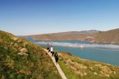 Erkunde den godley head loop ab sumner beach mit lokalem guide, genieße kaffee am meer und ein picknick mit blick – inklusive abholung am hafen. jetzt buchen!