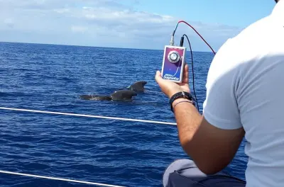 Yate privado en Tenerife con snorkel y avistamiento de cetáceos