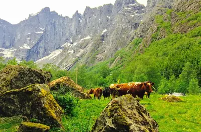 Hellesylt Privattour: Norangsdalen Tal & Fjorddorf