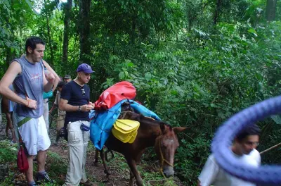Rafting im Chagres Nationalpark: Ganztägig Wildwasser der Klasse II-III