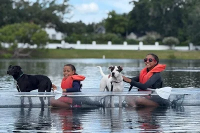 Paddle with your dog on orlando’s lake ivanhoe using a stable kayak or paddleboard. includes all gear, life vests, and a friendly local guide. book now.