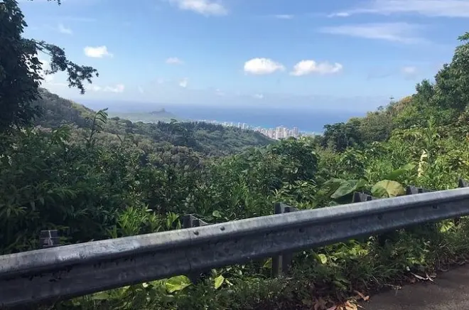 Private Wanderung Honolulu: Manoa Falls oder Kalawahine Trail