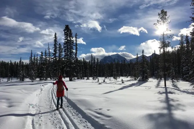 Ski de fond à Lake Louise avec une courte visite guidée incluse