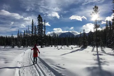 Learn to Cross Country Ski in Lake Louise: Includes short guided tour