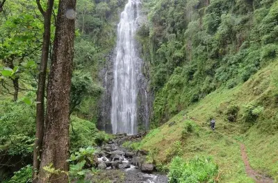 Chute d'eau Materuni et sources chaudes Chemka depuis Moshi