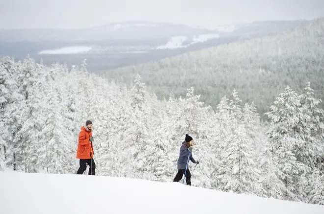 Esquí en Pyhä-Luosto con Altai en el bosque ártico