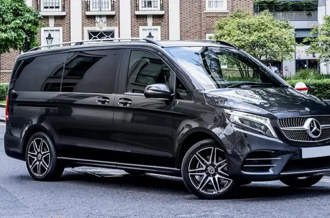 Transfer vom EuroAirport zum Hotel in Basel: Privater Luxus-Van