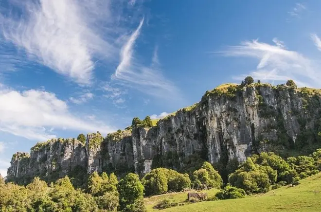 Cuevas de Waitomo y bosque Trollshaw: Tour de 12 horas de El Hobbit