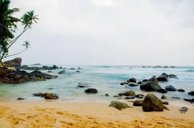 Galle Fort: Santuário de tartarugas e passeio pelo forte holandês