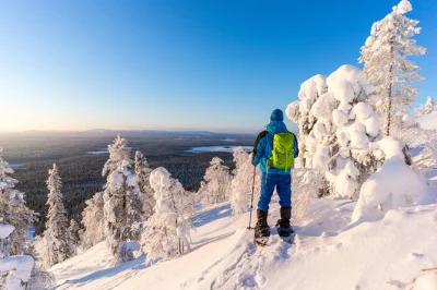 Découvrez la randonnée en raquettes dans les forêts sauvages de laponie près de rovaniemi. transfert hôtel, tenue d’hiver, encas et guide local sympa inclus. réservez vite !