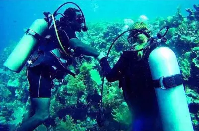 Scopri le immersioni subacquee a Roatan: Corso PADI DSD