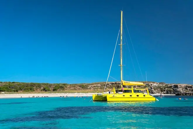 Carnac Island snorkeling: Sail, sea lions & turquoise waters