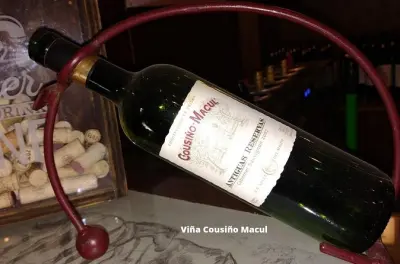 Weintour ab Santiago: Zwei Weingüter mit Premium-Verkostungen
