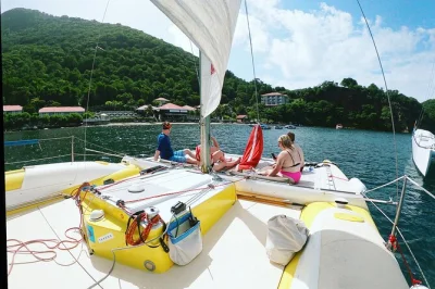 Set sail in les saintes with a local guide, help steer the catamaran, and snorkel for sea turtles. includes drinks and small group atmosphere. book now.