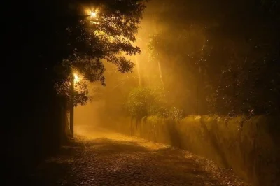 Walk sintra’s moonlit streets & mountain trails with a local historian. hear centuries-old legends, see the national palace by night, and avoid daytime crowds. book now.