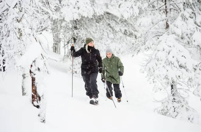 Pyhä-Luosto wilderness skiing: Altai skis, no experience needed
