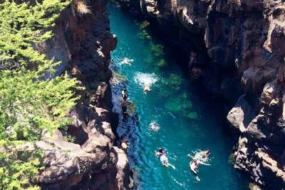 Swim with sea lions, spot sharks and birds, and explore santa cruz’s wild coast on a galapagos bay tour. includes snacks, bilingual guide, and transport.