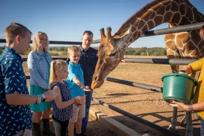 Incontri con animali a Fredericksburg: Giraffe e rinoceronti