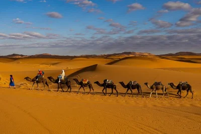 Wake up in marrakech, cross the atlas mountains, wander ait ben haddou, ride camels at sunset in merzouga and sleep under desert stars. includes pickup & all stays.