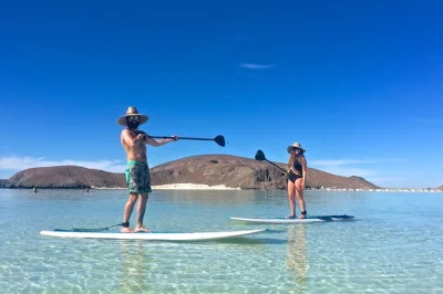 Nade com leões-marinhos, faça snorkel e stand up paddle na ilha espiritu santo, perto de la paz. inclui almoço na praia e guia local. reserve já.