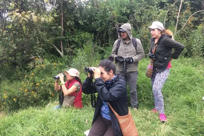 Parc naturel Chicaque près de Bogotá avec guide expert en oiseaux