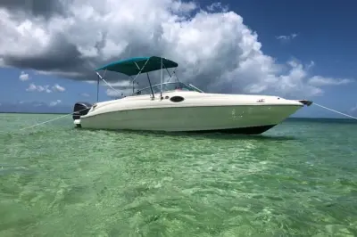 Snorkeling à Grand Cayman : Stingray City et Starfish Point