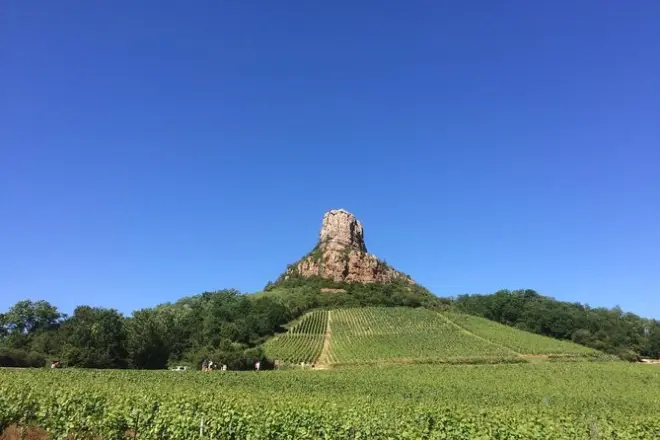 Tour de vino por el sur de Borgoña desde Lyon: 2 viñedos, 11 vinos