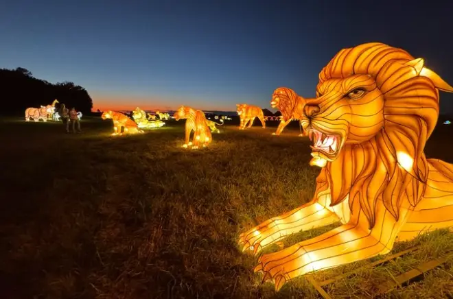 Autumn Glow Festival: Handcrafted Lanterns in New York