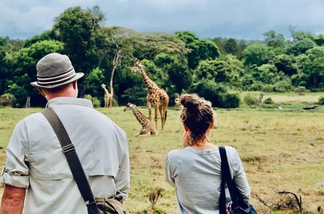 Arusha National Park Walking Safari & Waterfall Tour