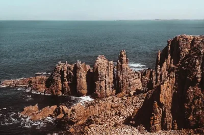 Explore as trilhas do cape woolamai, veja coalas de perto e acompanhe o penguin parade ao pôr do sol em phillip island. ingressos e guia local inclusos.