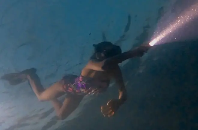 Night Snorkel in West Palm Beach: After Dark Marine Life