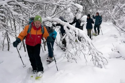 Recorre los bosques nevados de la isla tromsøya con un guía local, disfruta de bebidas calientes y transporte incluido. reserva ya tu tour guiado con raquetas en tromsø.