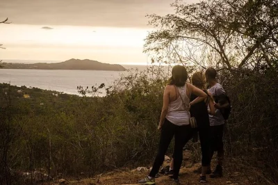 Hike monkey mountain from san pancho with a local guide. includes private transport and snacks. book now for a real taste of riviera nayarit’s wild side.