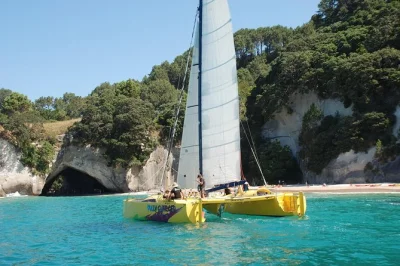 Sail from flaxmill bay along mercury bay’s coast to cathedral cove on a small-group catamaran tour. includes coffee, baked snack, and optional swim or snorkel.