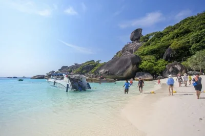 Scopri le acque cristalline, avvista fauna rara e rilassati sulle spiagge morbide con un tour snorkeling eco-sostenibile alle isole similan da phuket. include pickup e pranzo thailandese.