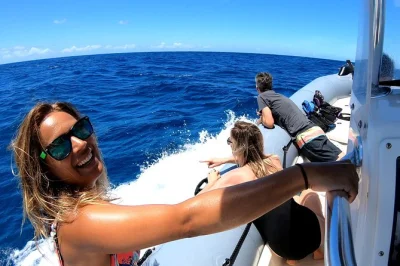 Walbeobachtung ab waikiki auf privatem boot mit lokalem guide. inklusive wasser und flexiblem ablauf. jetzt dein oahu-abenteuer buchen.