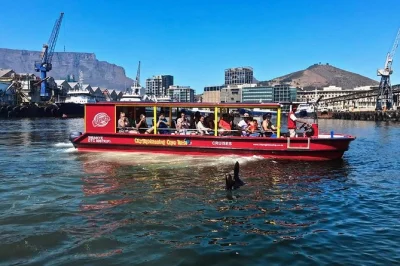 See cape town’s v&a harbour from the water with a local guide, live commentary, and seal sightings. includes headset for clear audio. book your cruise now.