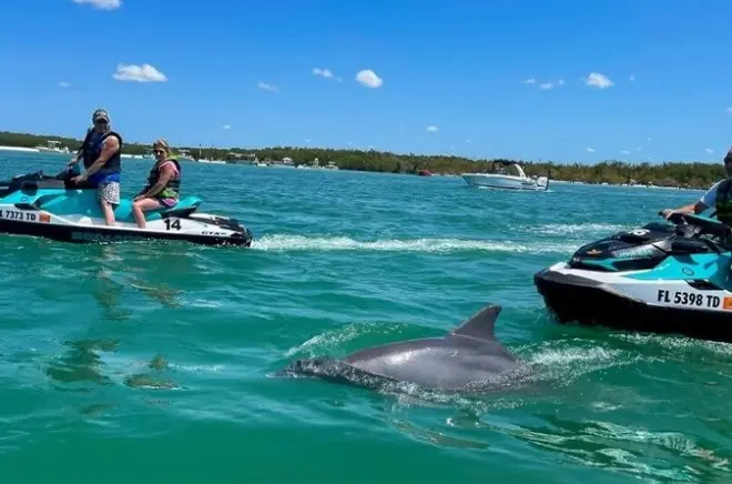 Estero Bay tour en jet ski Sea-Doo : 1h30 en solo