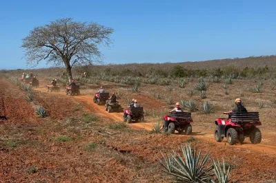Erkunde mazatláns agavenfelder auf atvs, genieße eine traditionelle temazcal-sauna und probiere mezcal mit einem lokalen guide. inklusive mittagessen und hoteltransfer.