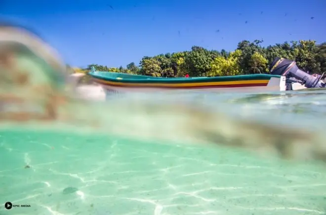 Pedasi to Isla Iguana Full Day Tour: Snorkel coral reefs