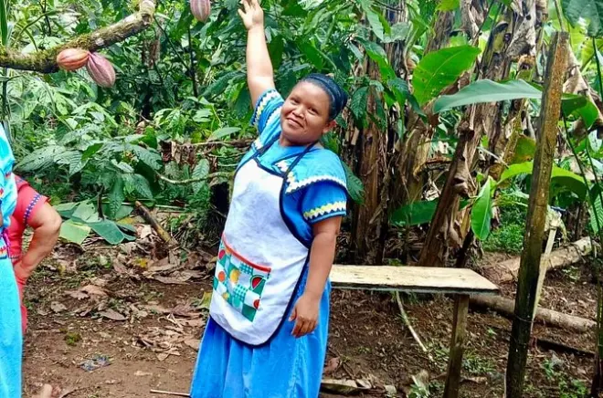 Tour de cacao indígena en Bocas del Toro: De la finca al chocolate